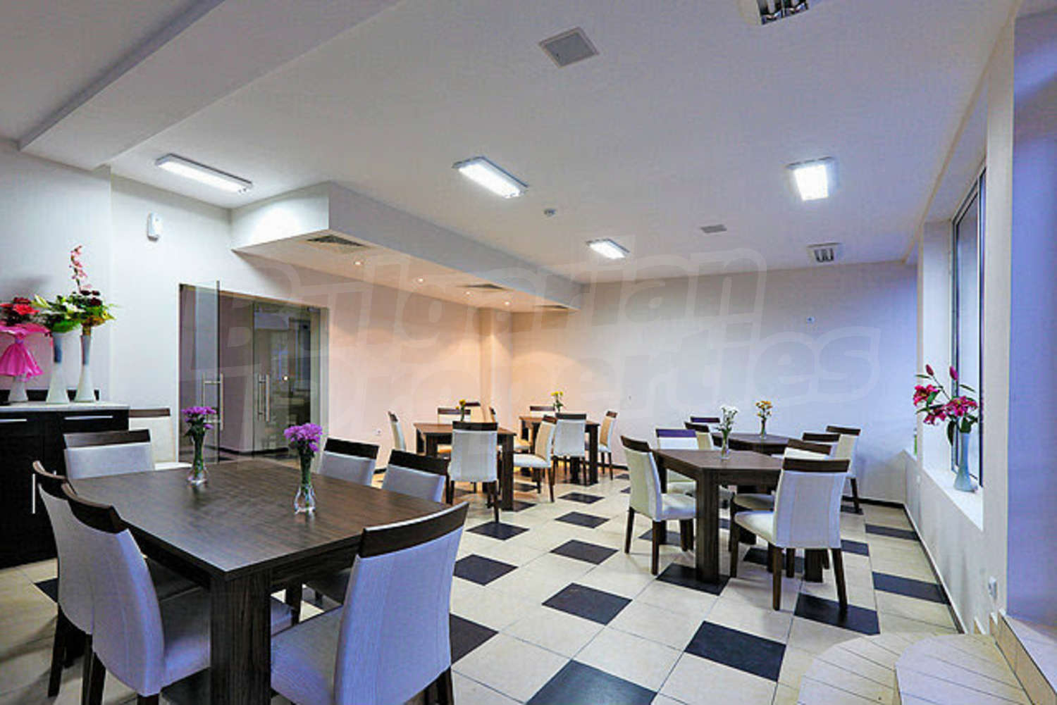 Gallery Picture 11