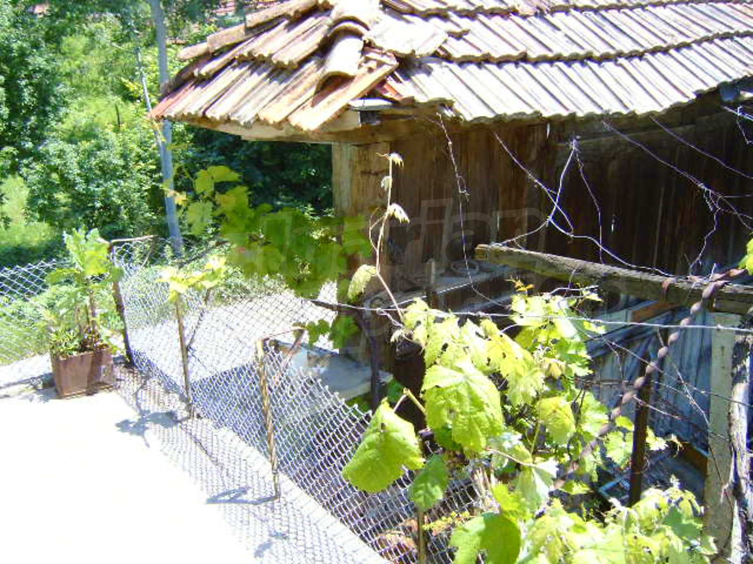 Gallery Picture 10
