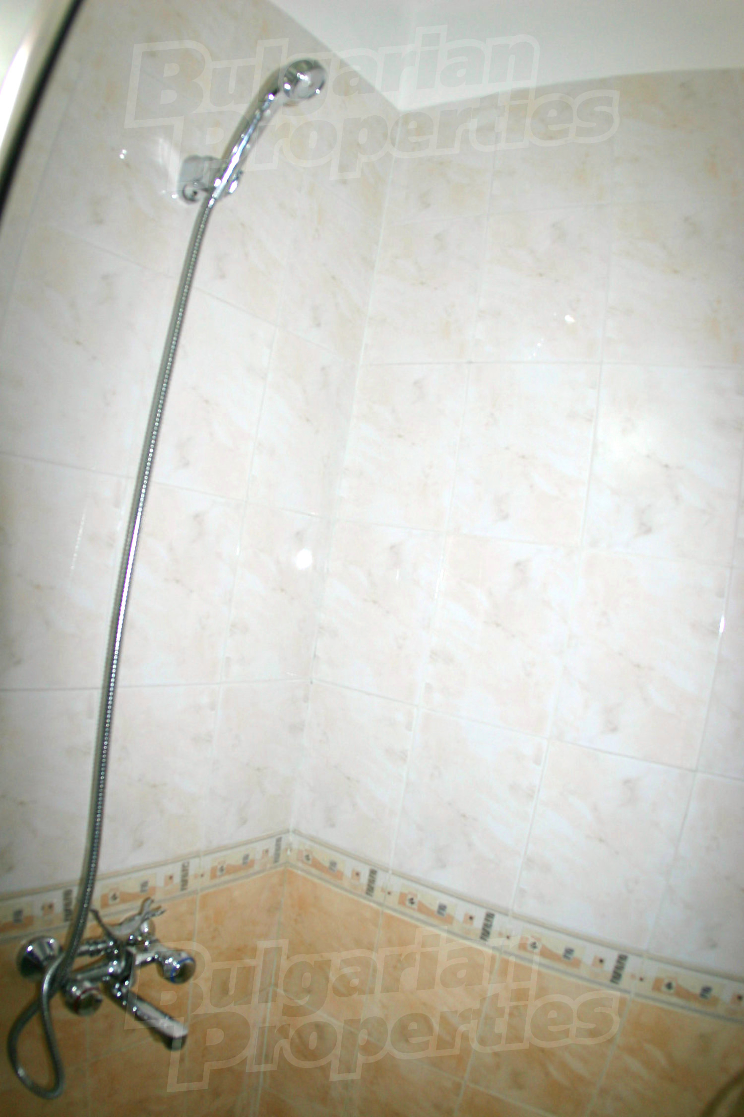 Gallery Picture 23