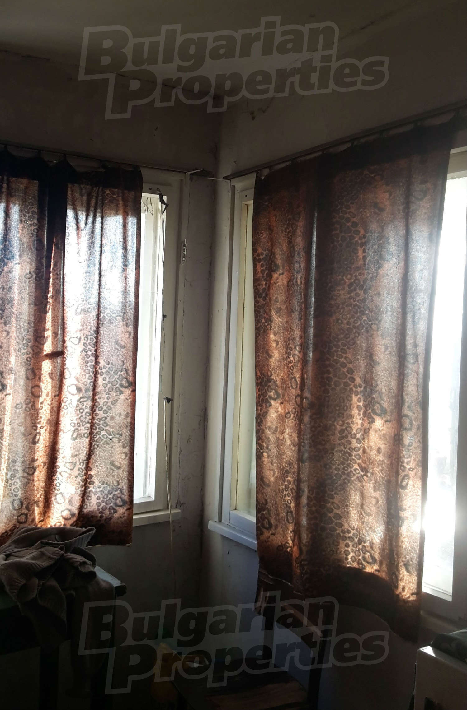 Gallery Picture 10