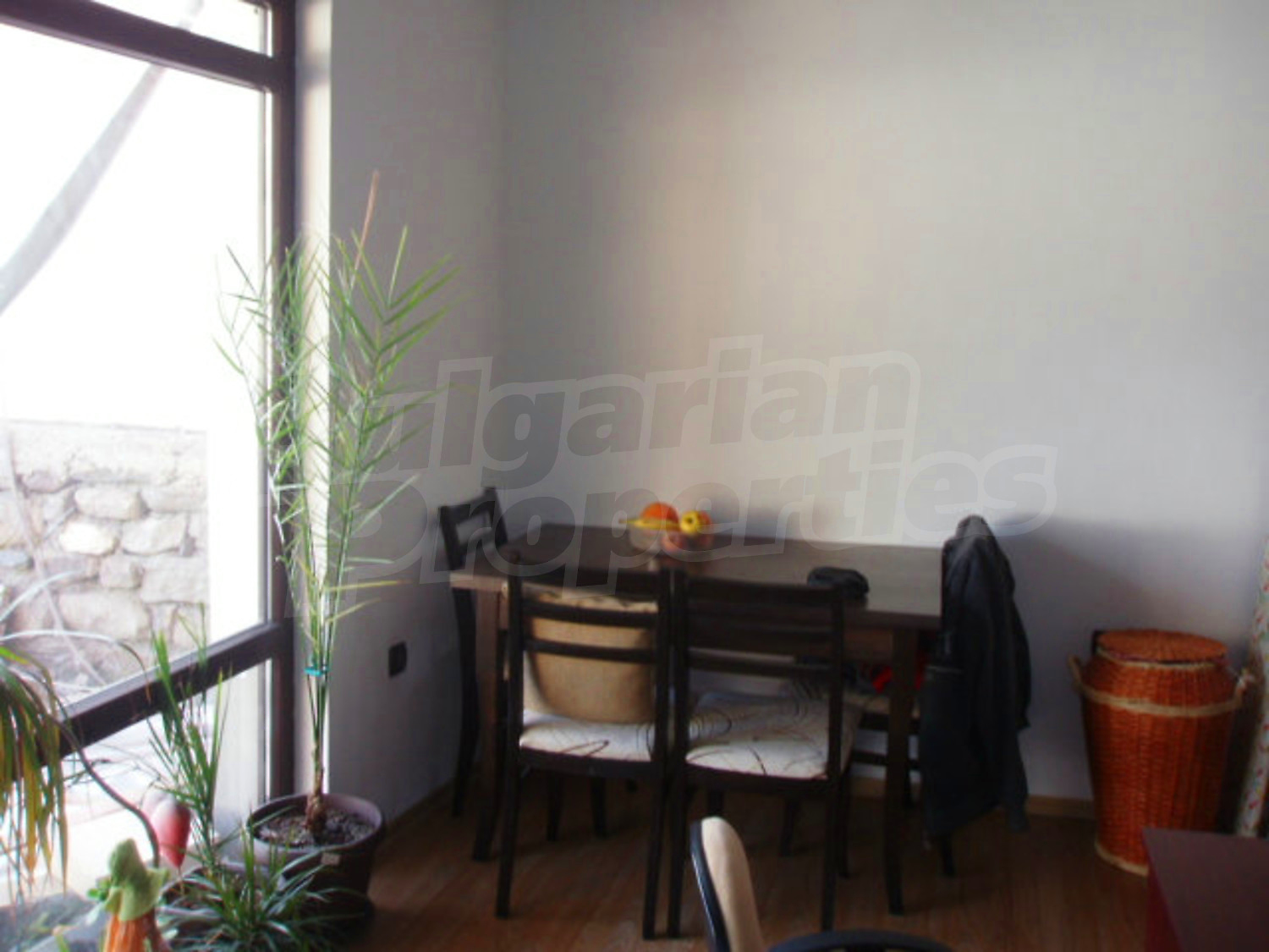 Gallery Picture 10