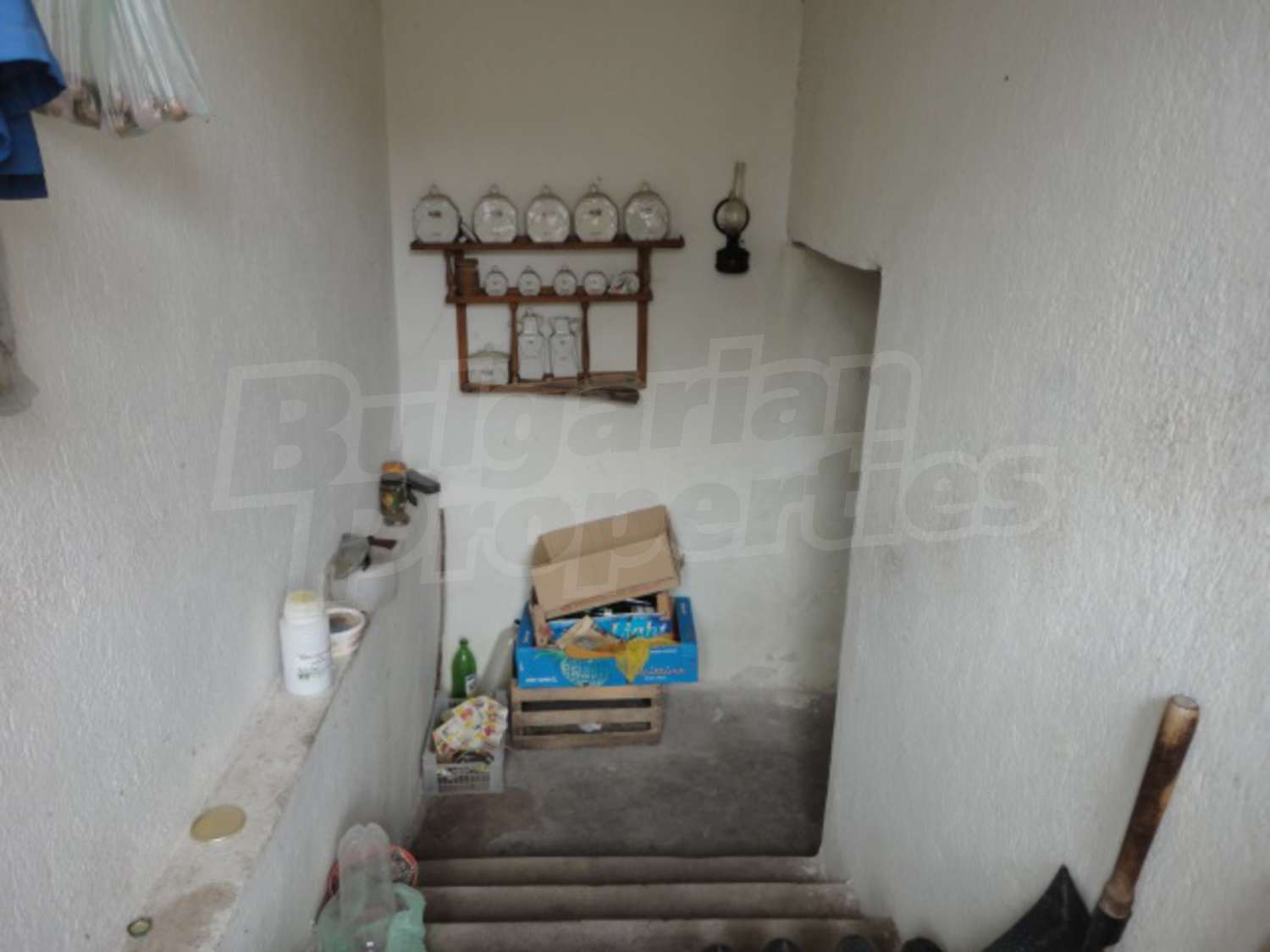 Gallery Picture 23
