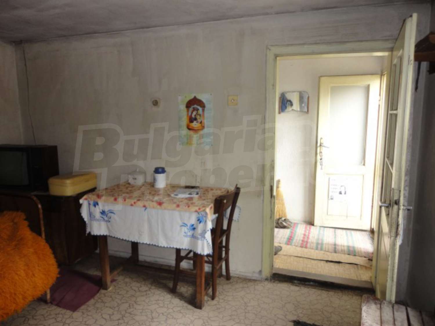 Gallery Picture 26