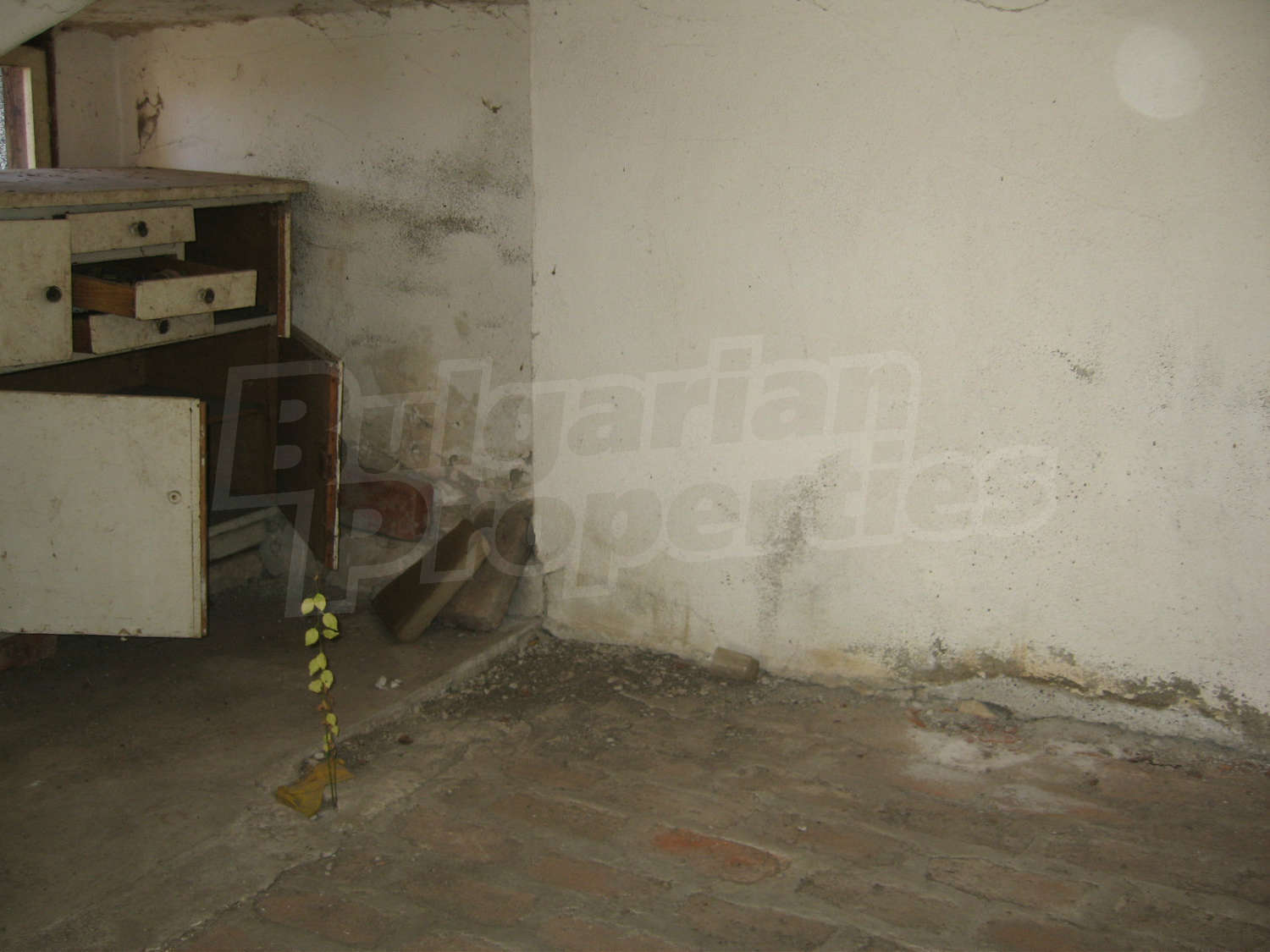 Gallery Picture 10