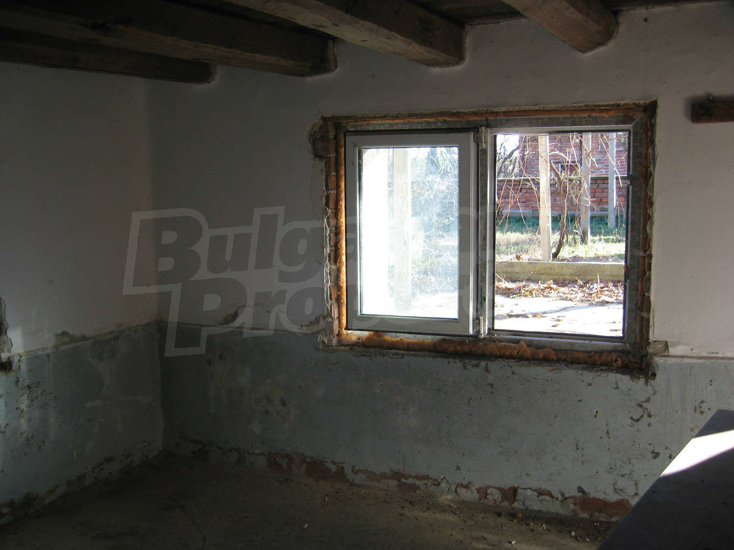 Gallery Picture 13