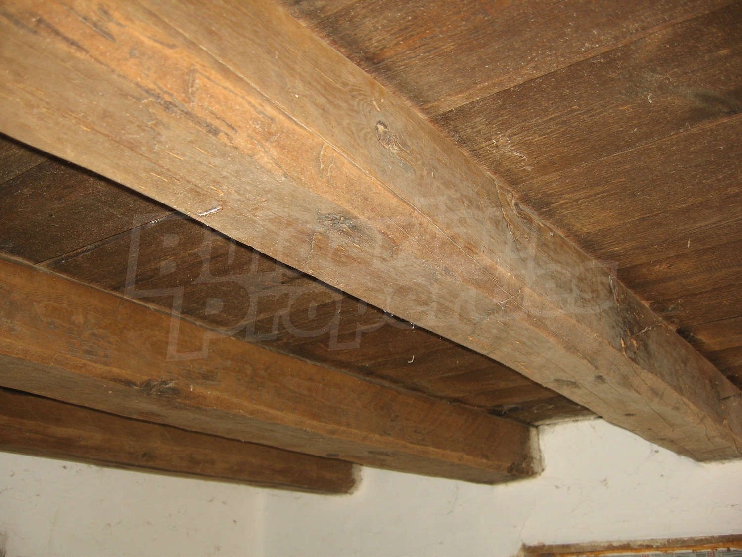 Gallery Picture 14