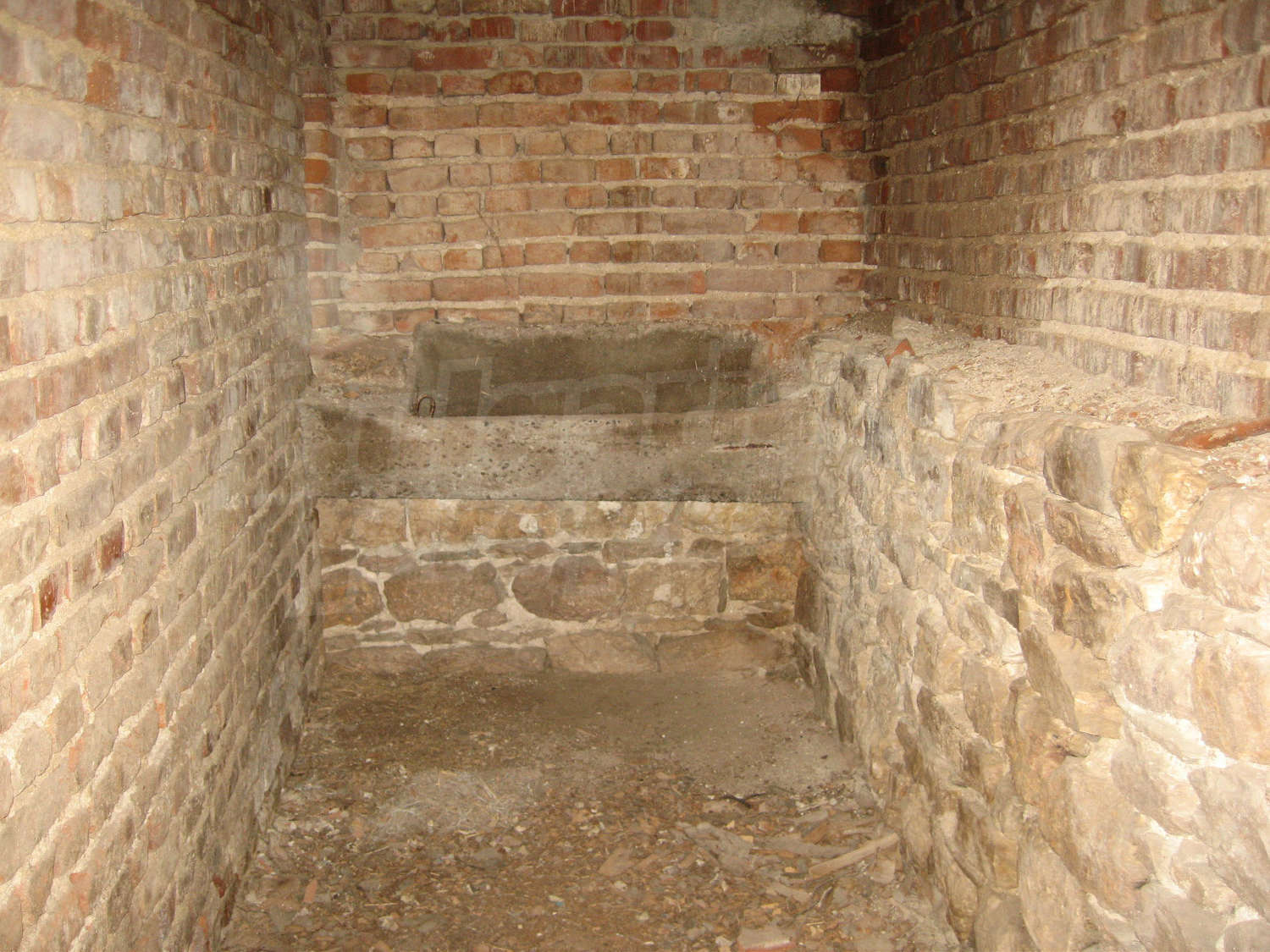 Gallery Picture 21