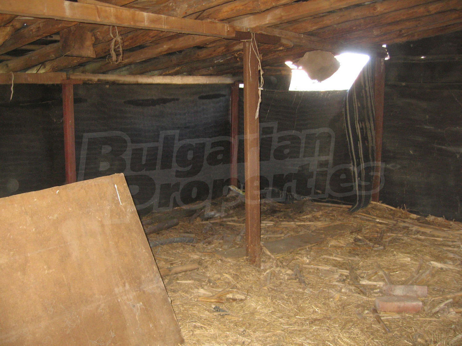 Gallery Picture 24