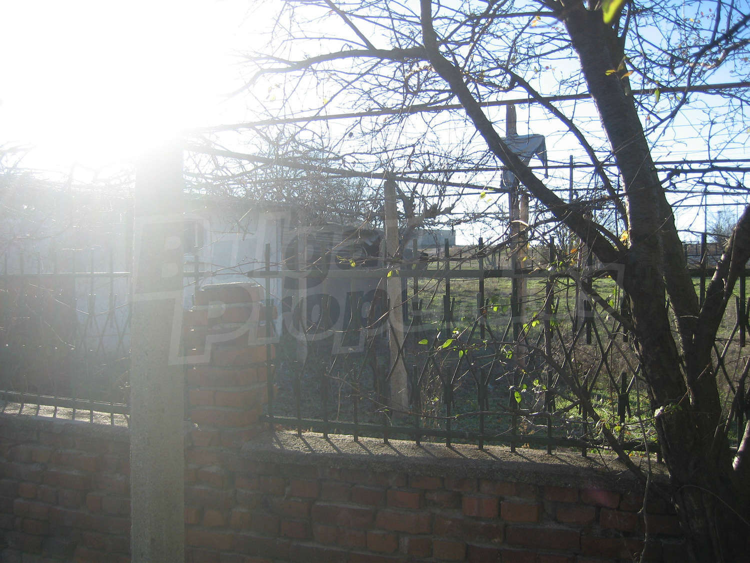Gallery Picture 30