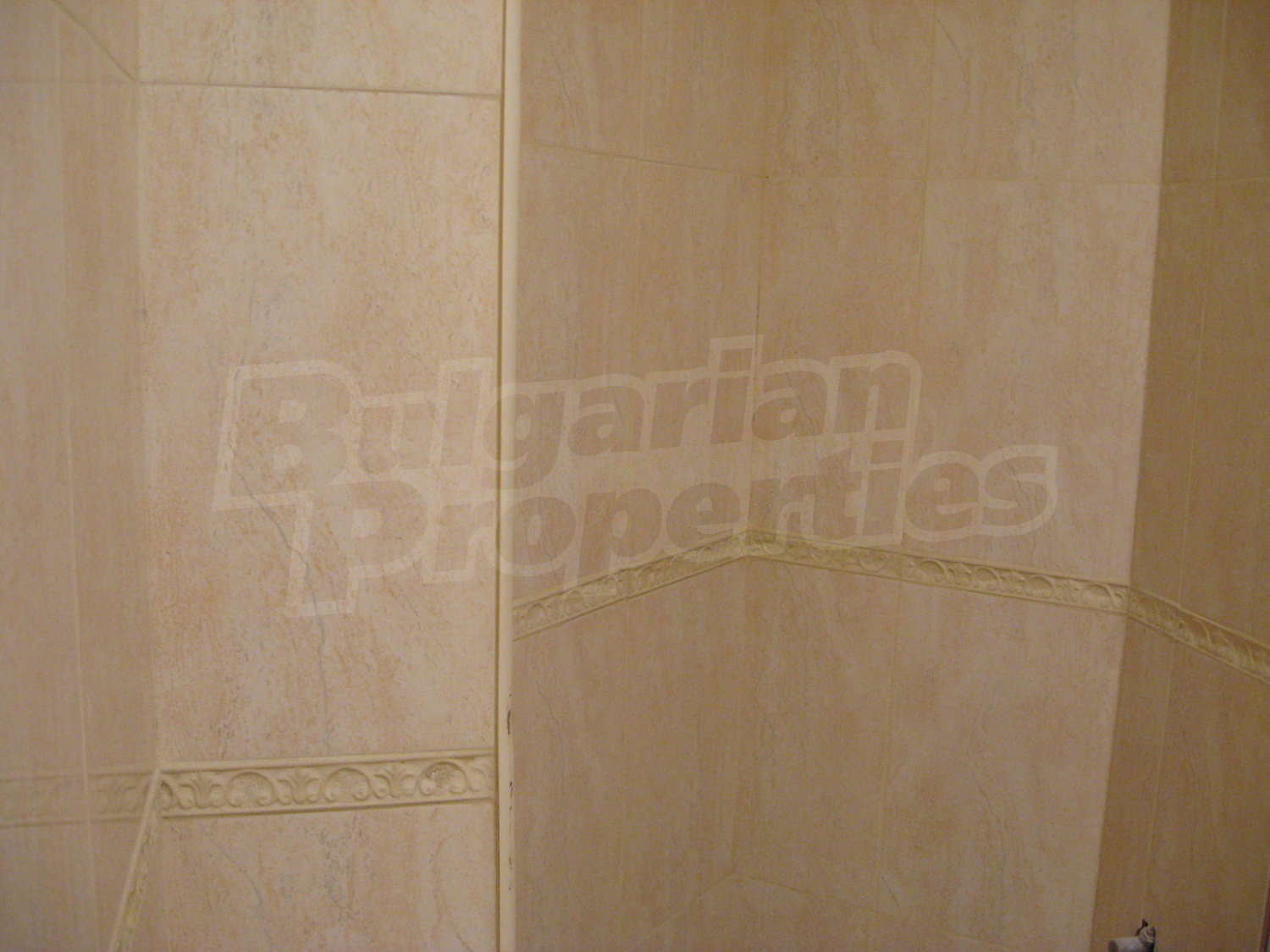 Gallery Picture 10