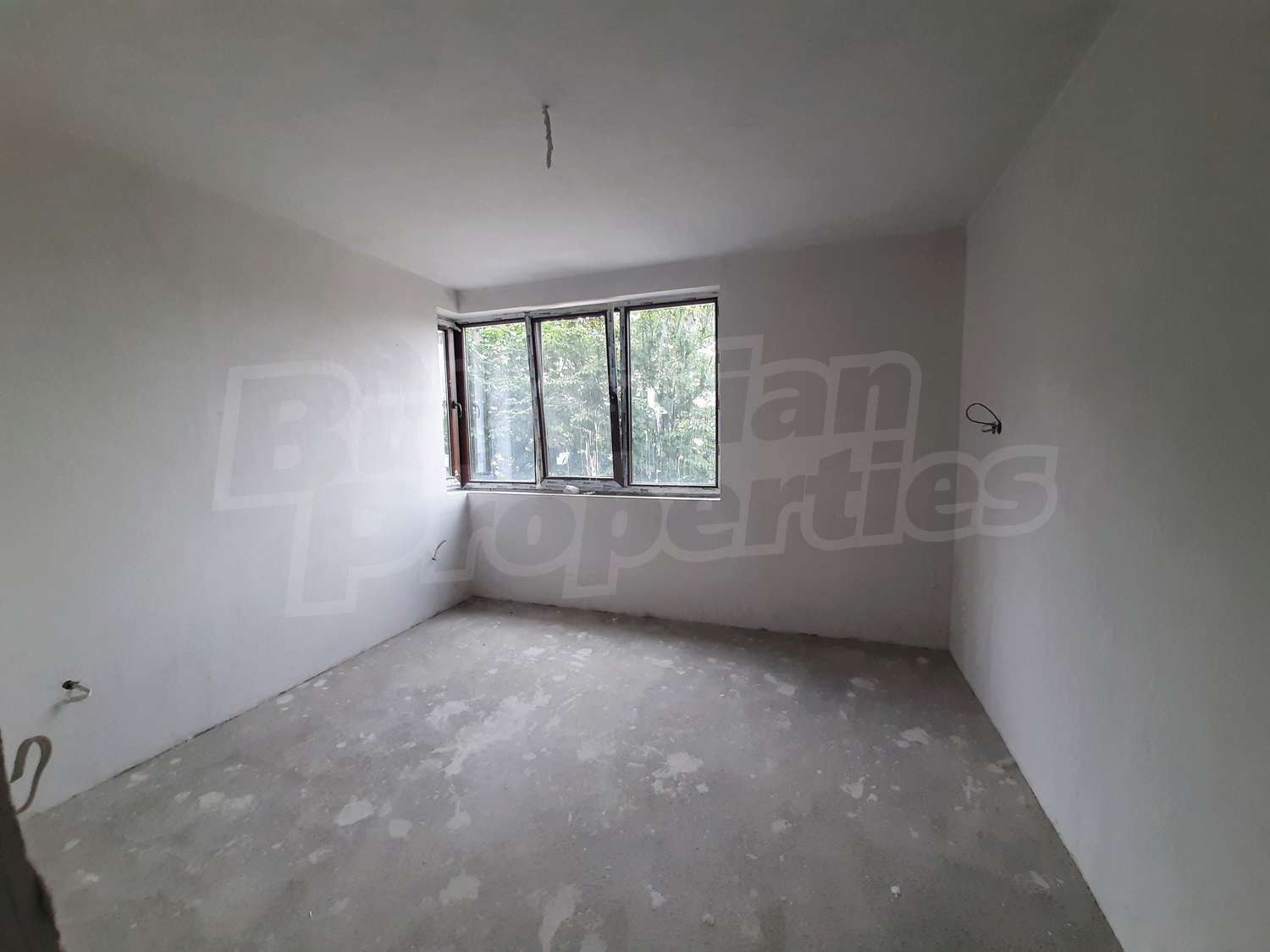 Gallery Picture 10