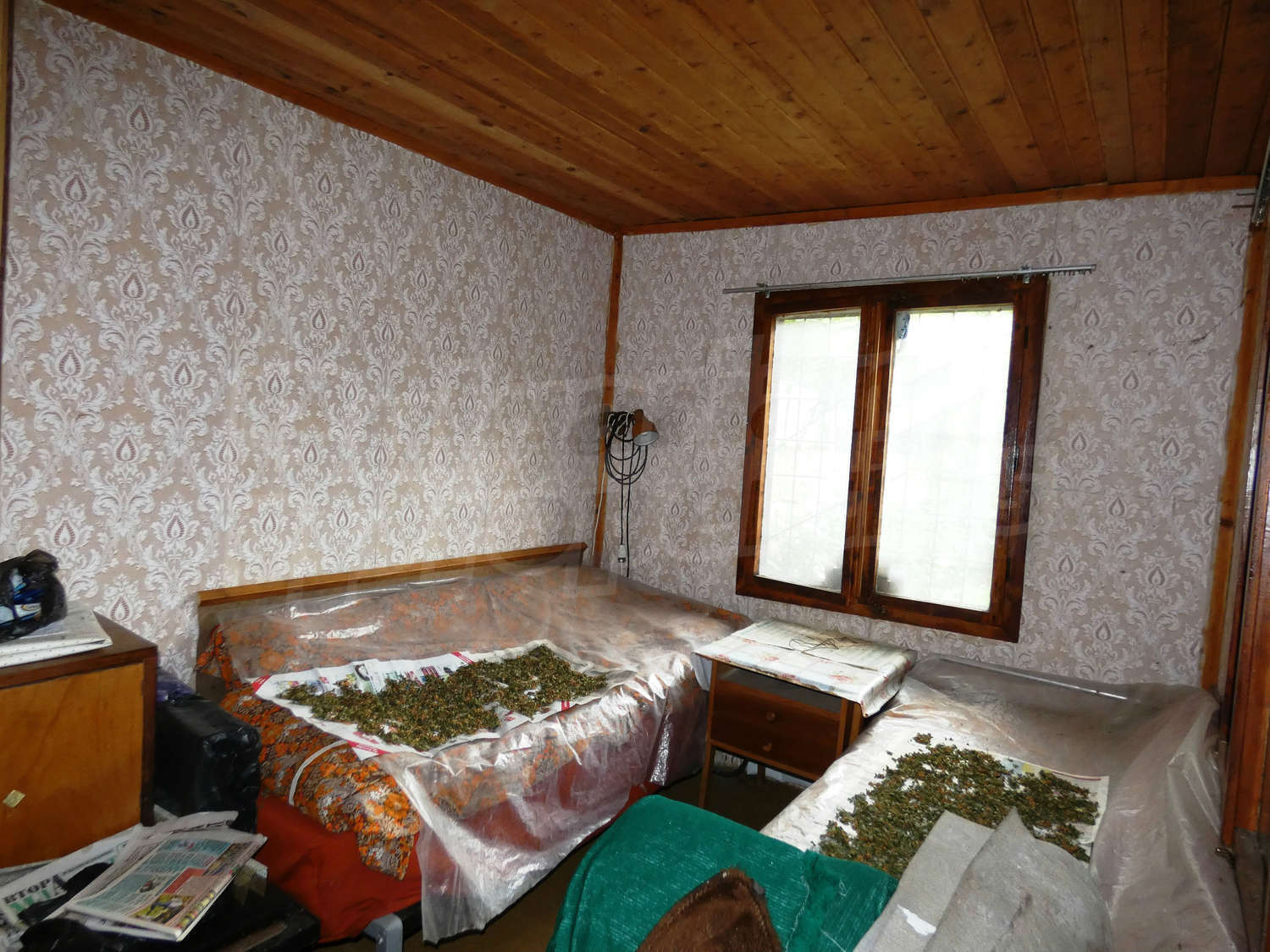 Gallery Picture 12