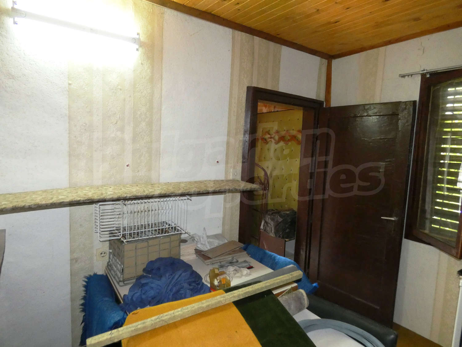 Gallery Picture 16