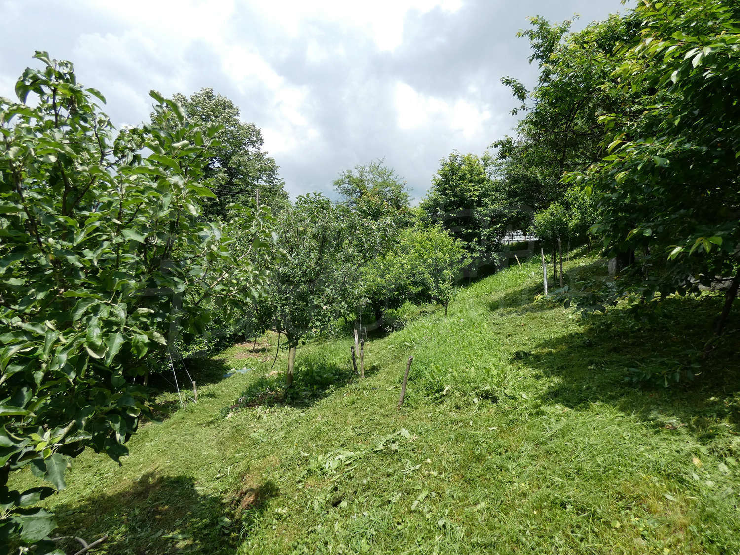 Gallery Picture 18