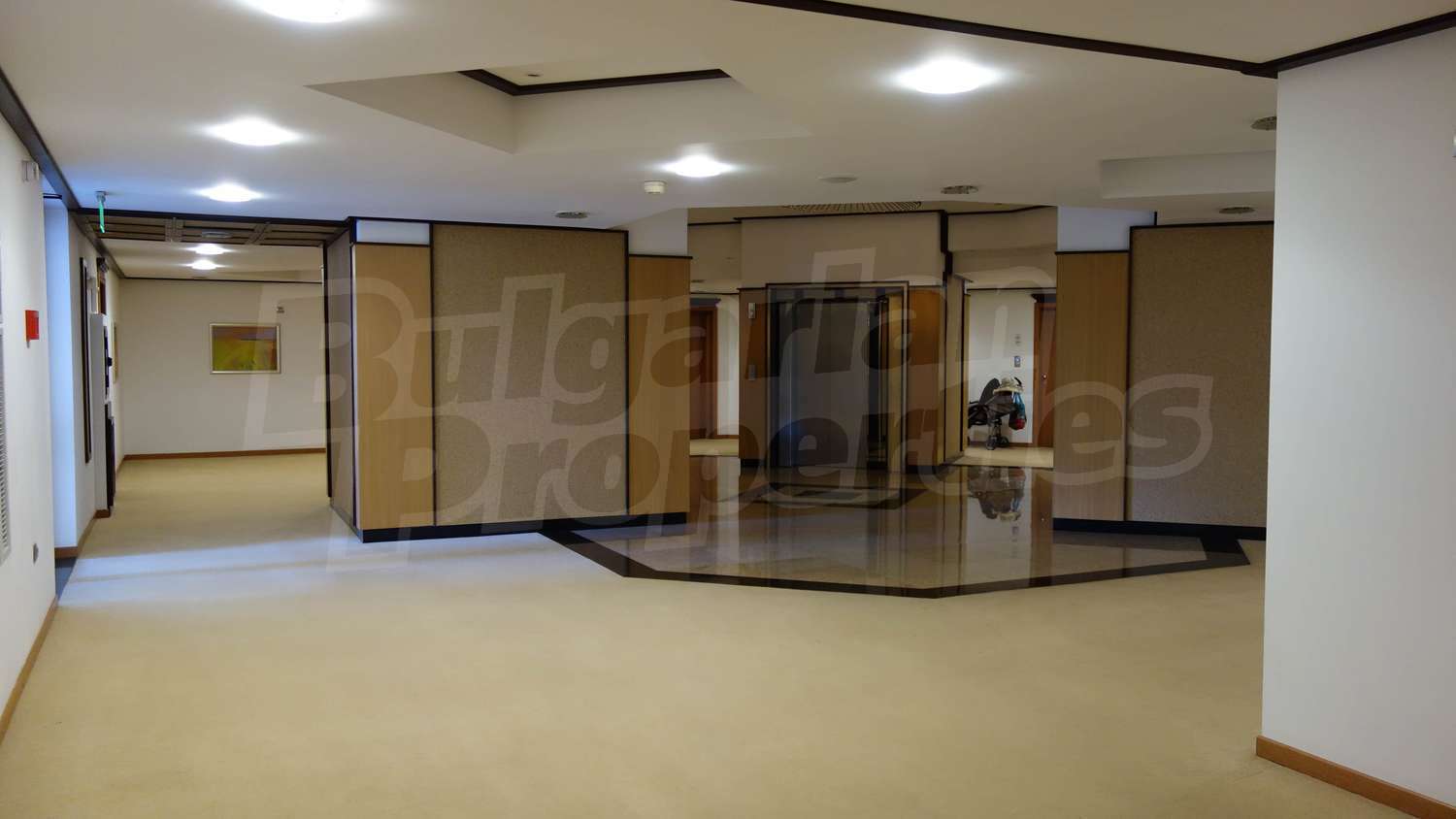 Gallery Picture 14