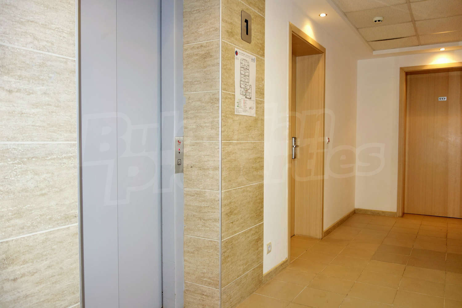 Gallery Picture 19