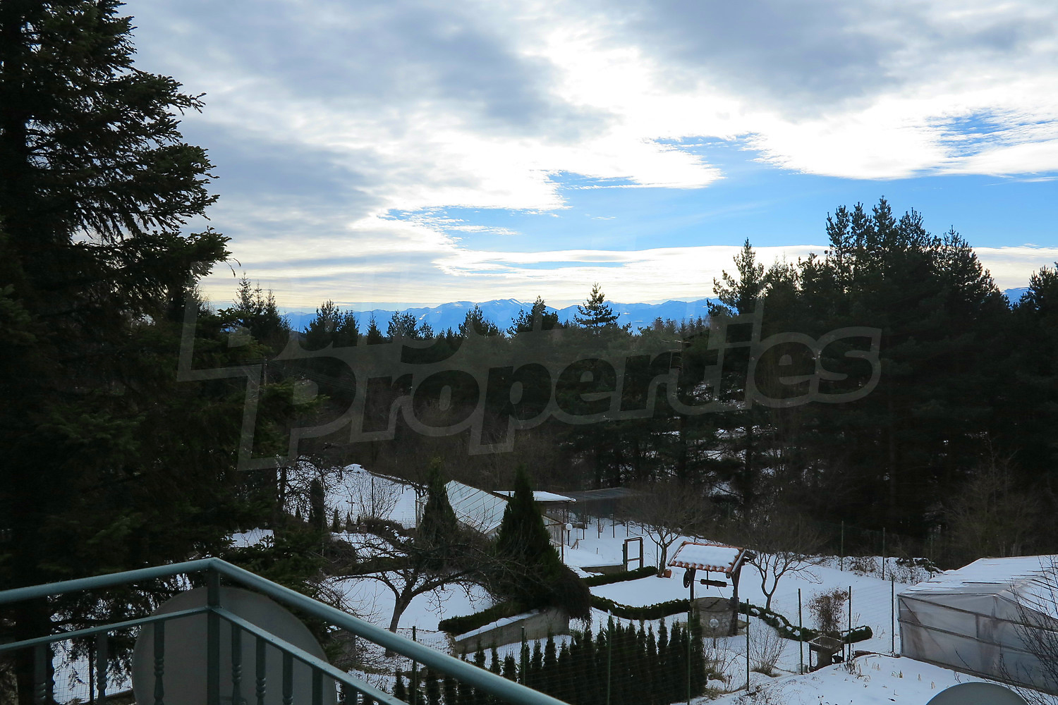 Gallery Picture 12