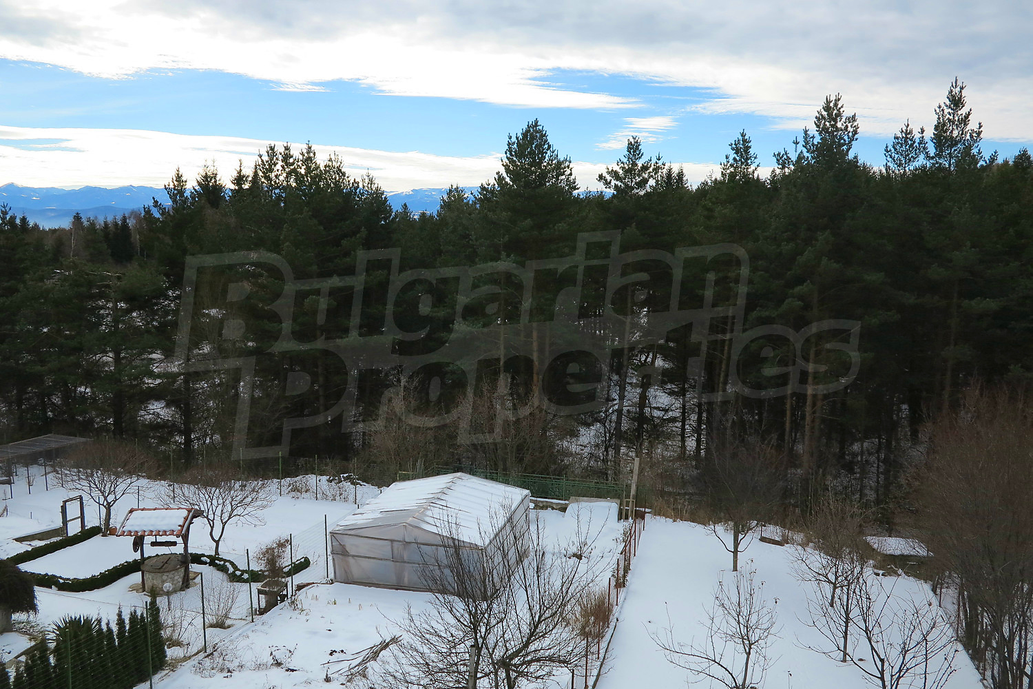 Gallery Picture 33