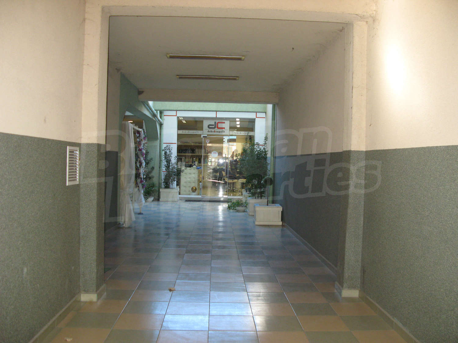 Gallery Picture 17