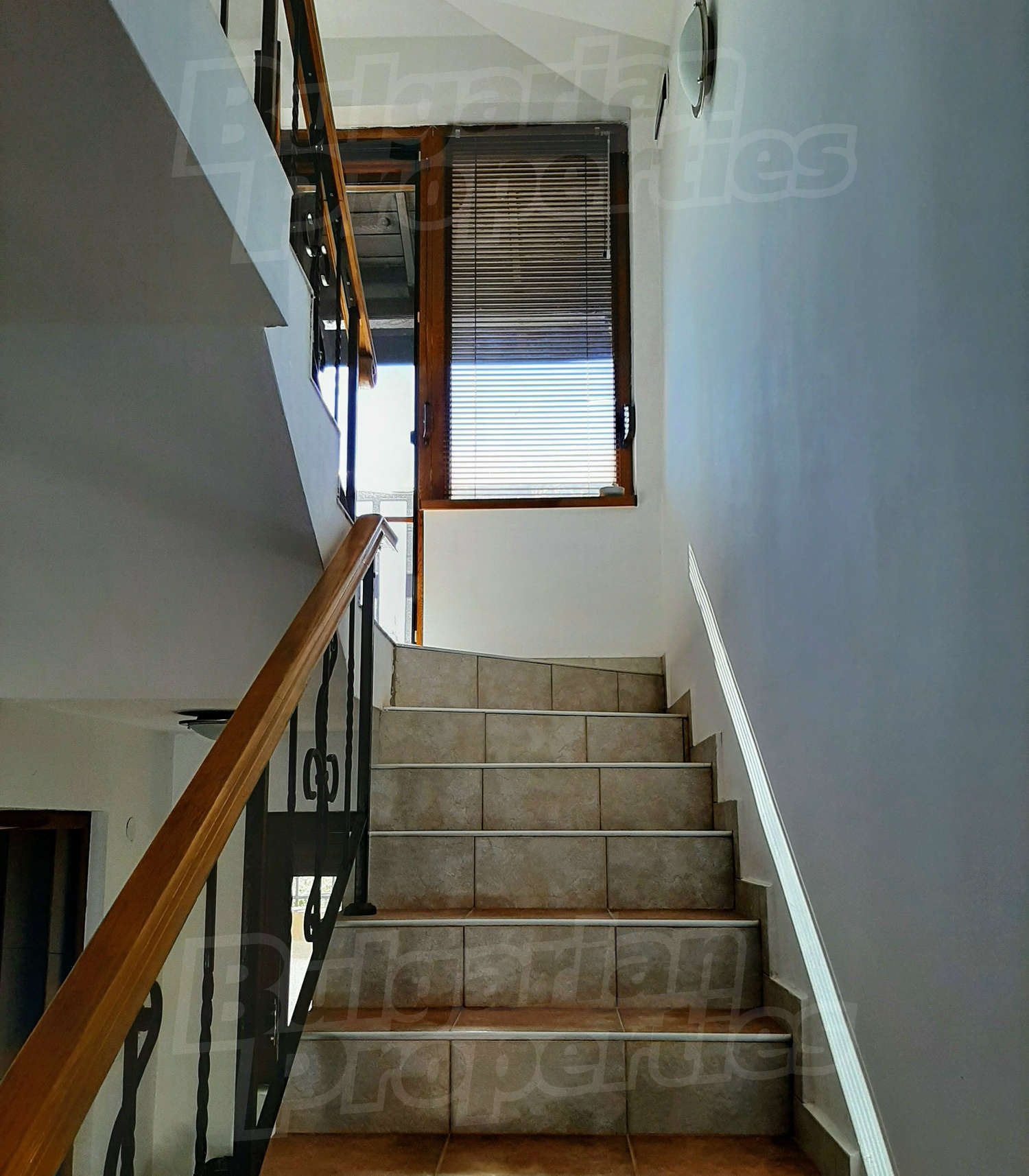 Gallery Picture 7