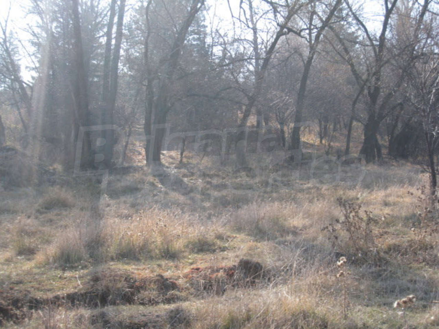 Gallery Picture 11