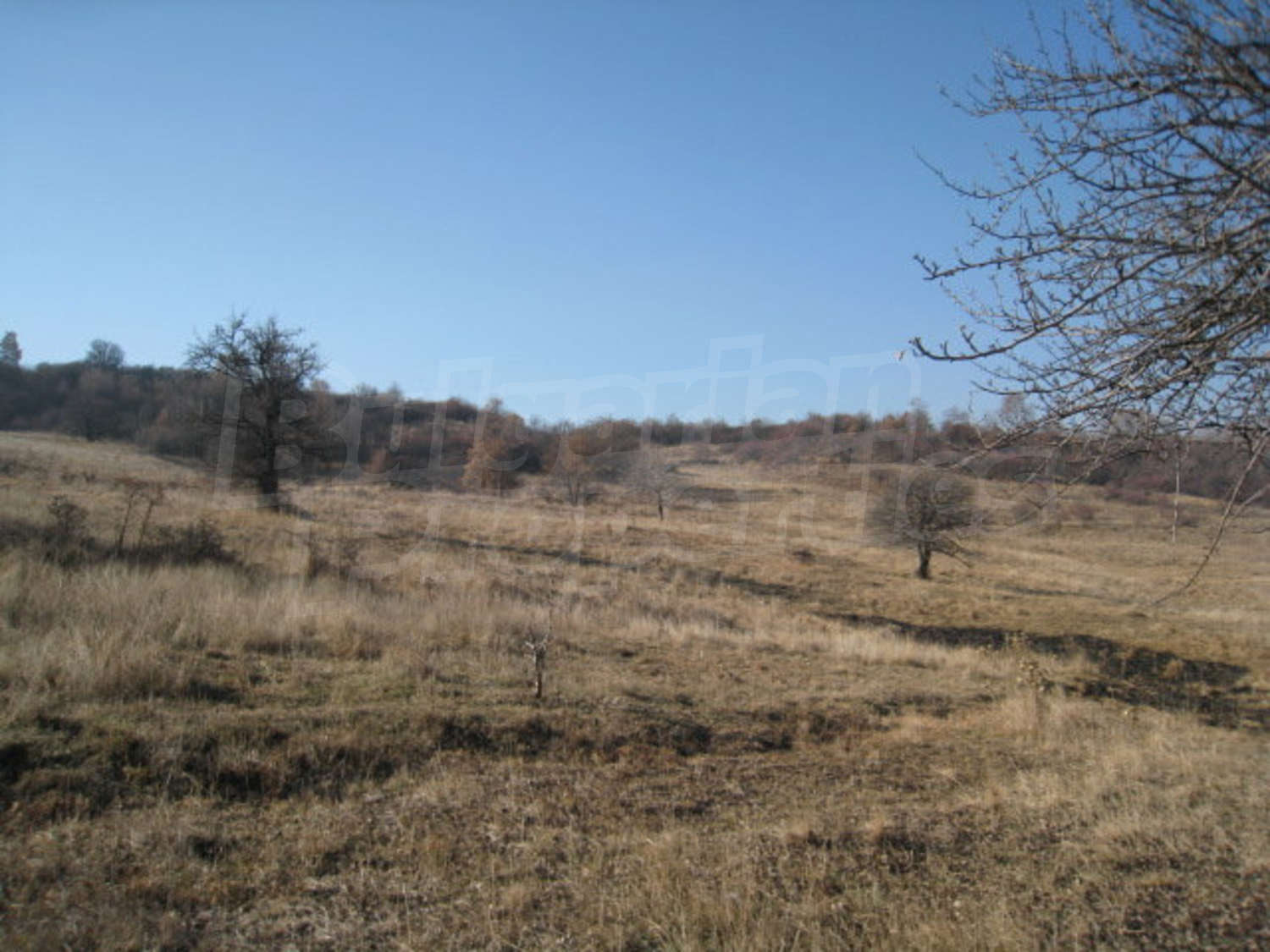 Gallery Picture 16