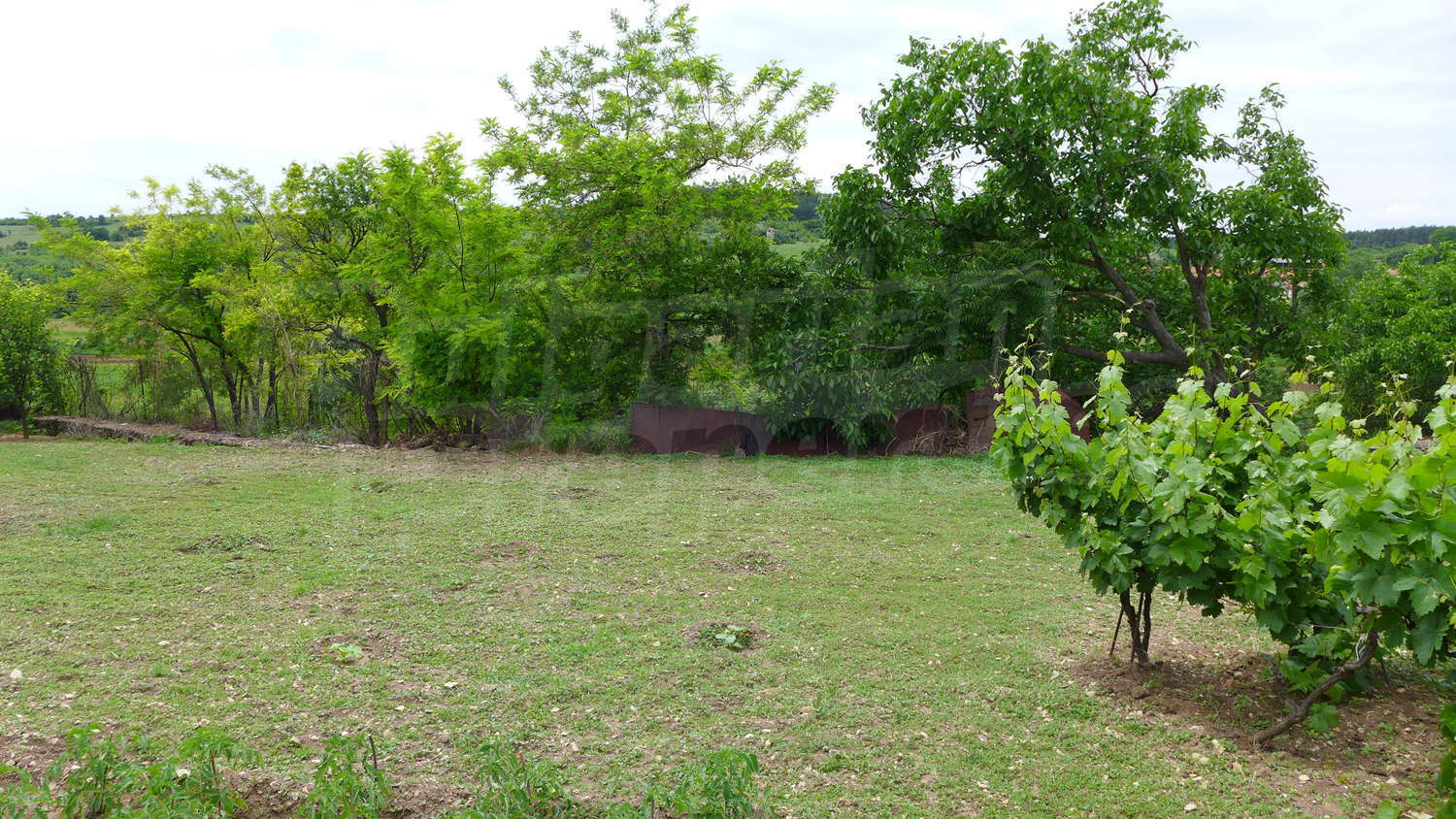 Gallery Picture 34