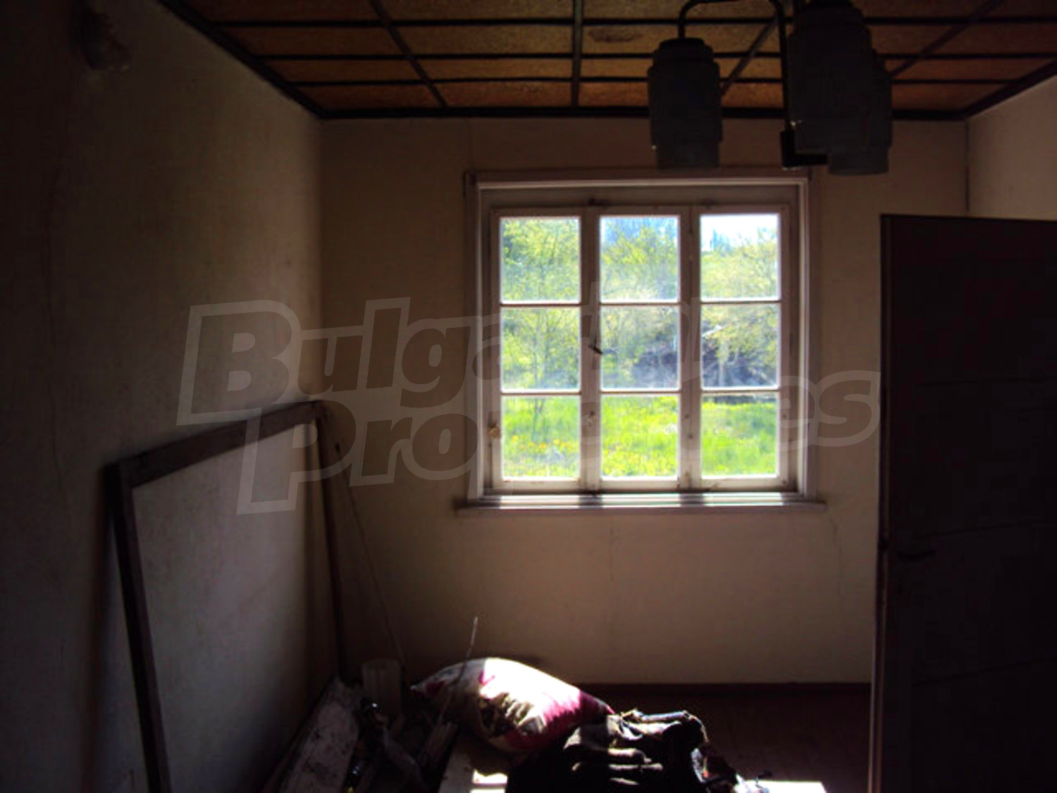 Gallery Picture 14
