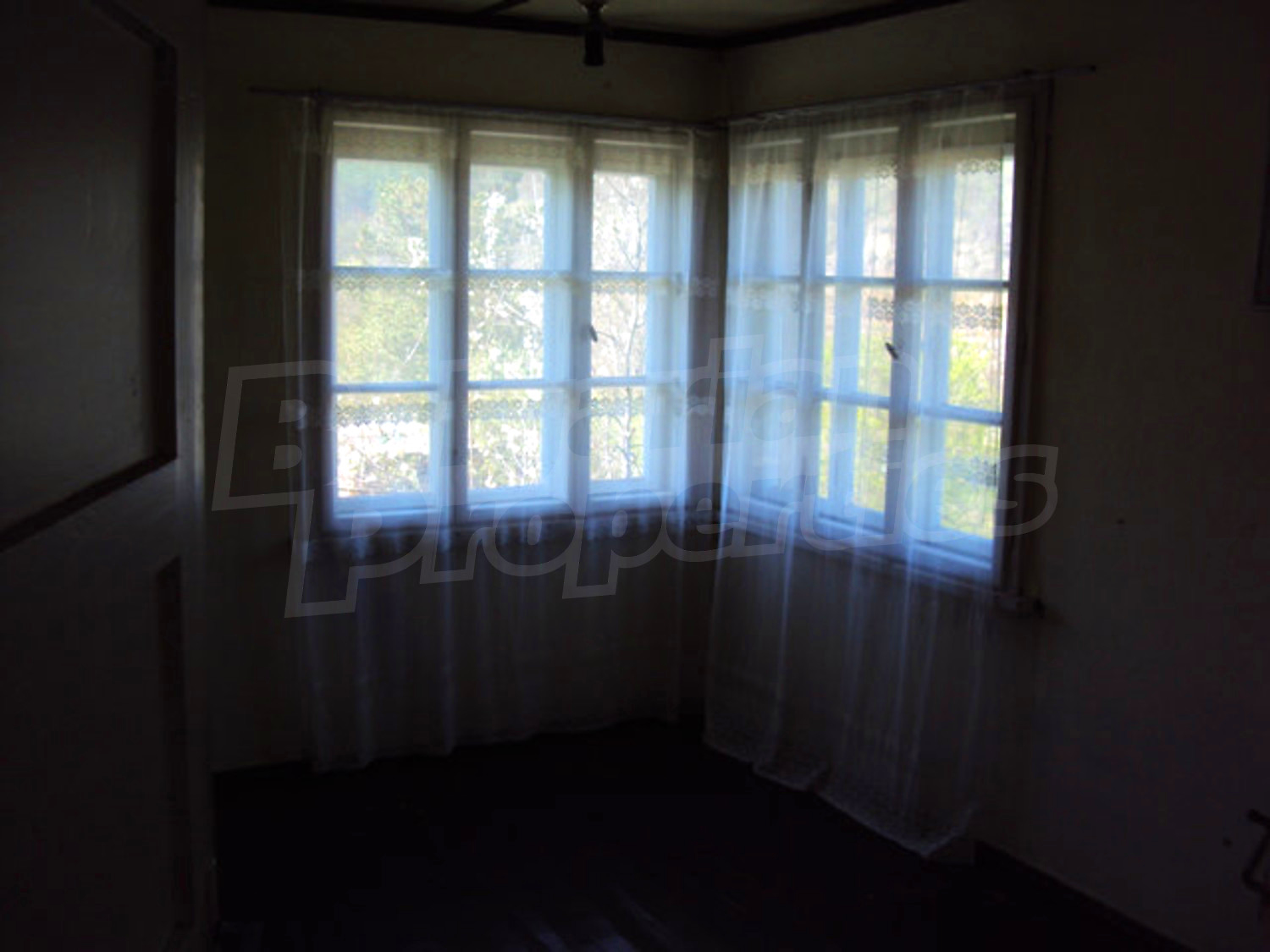 Gallery Picture 15