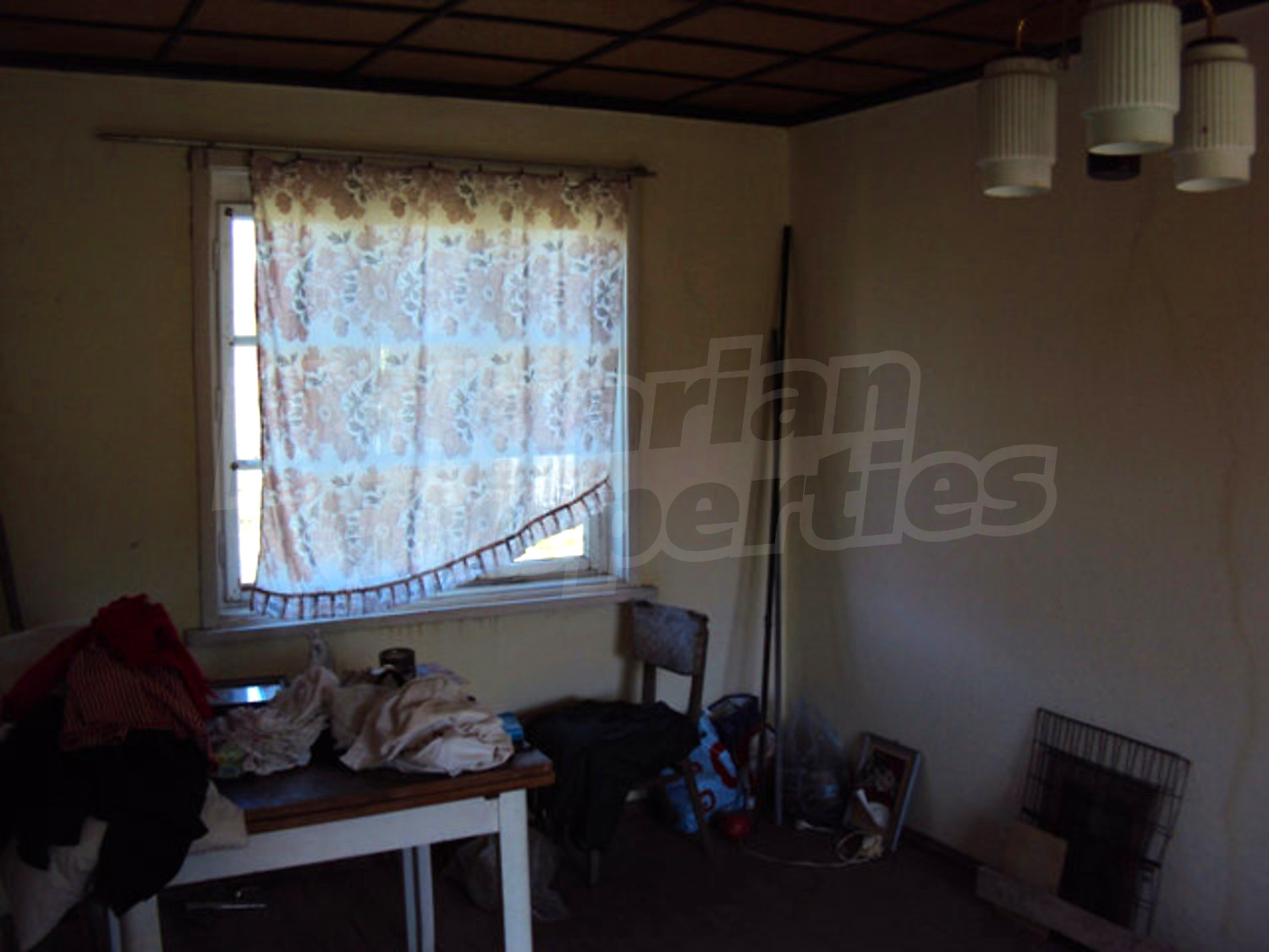 Gallery Picture 17