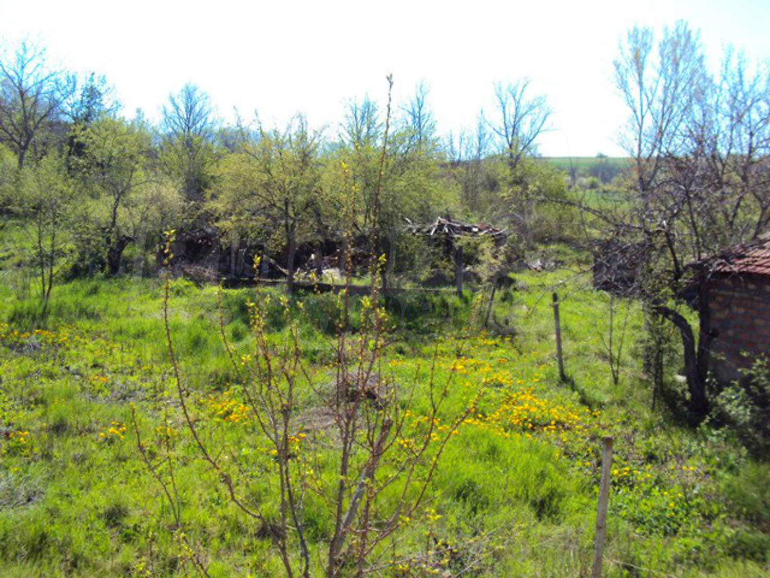 Gallery Picture 26