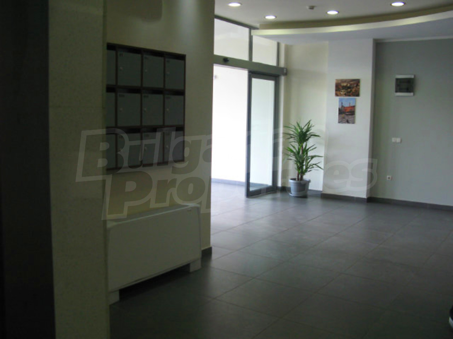 Gallery Picture 15