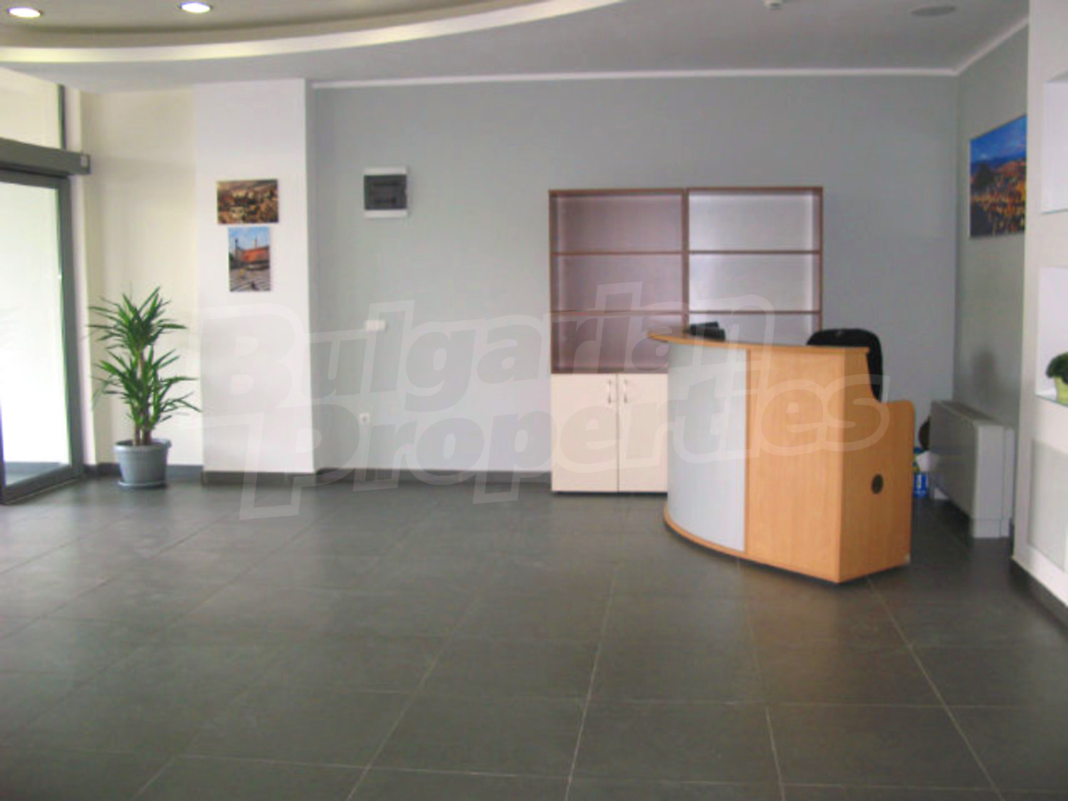 Gallery Picture 16