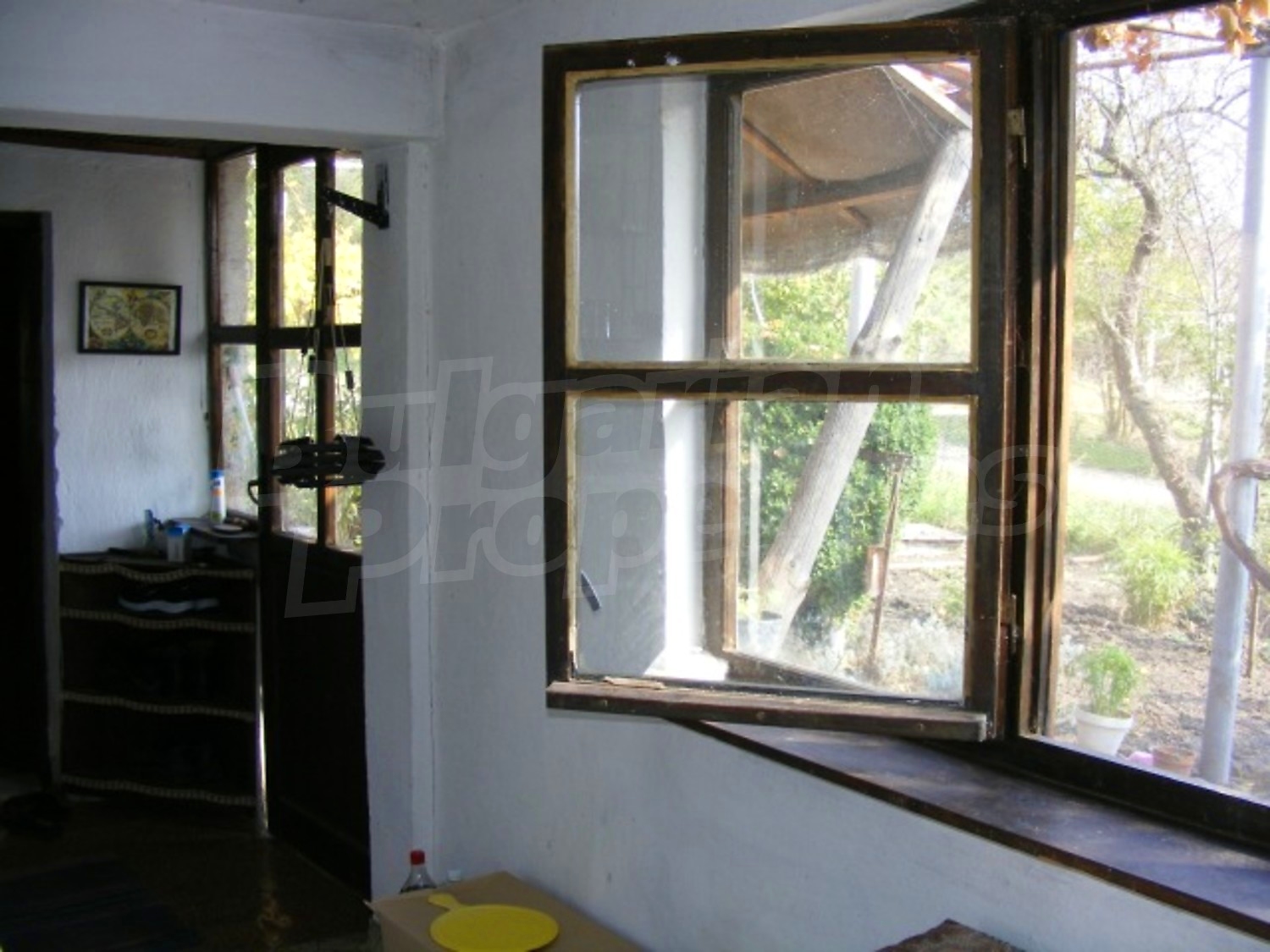 Gallery Picture 14