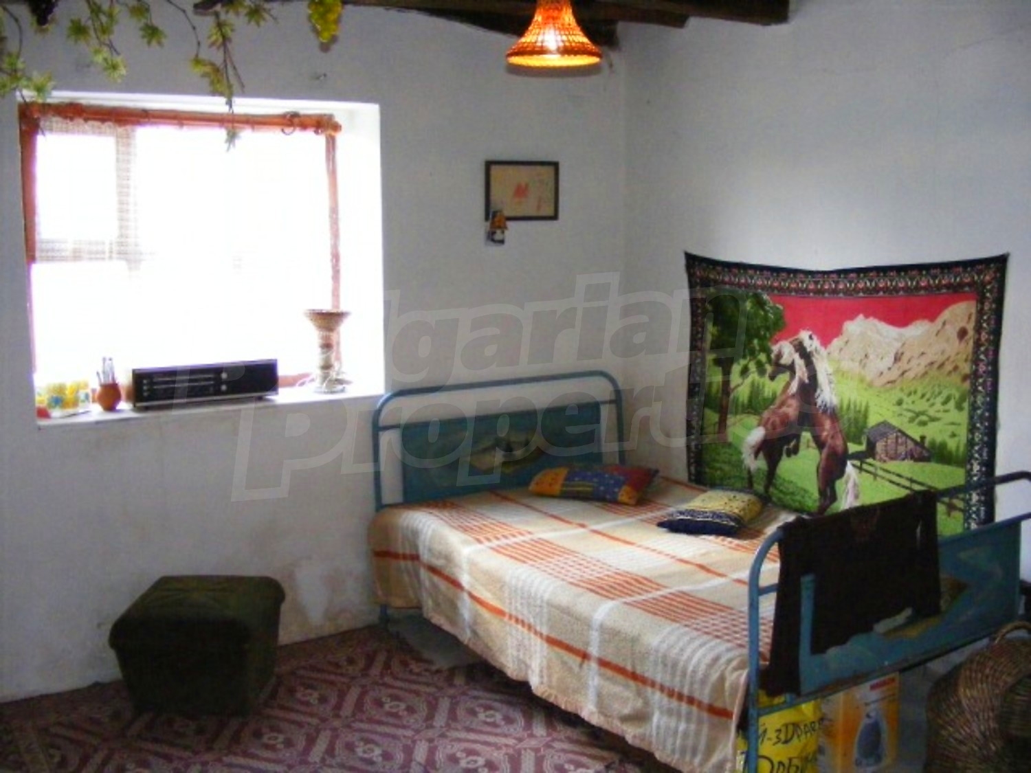 Gallery Picture 16