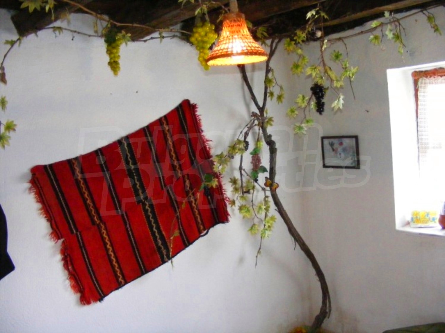 Gallery Picture 17