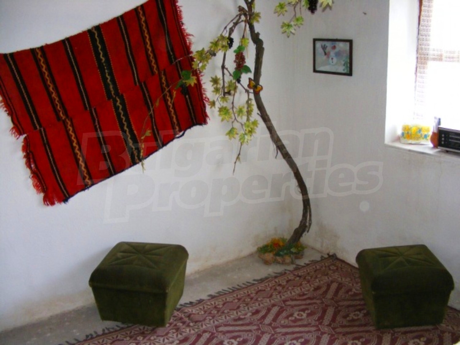 Gallery Picture 18