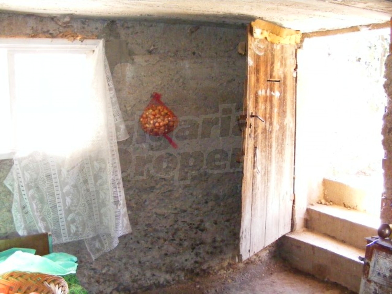 Gallery Picture 17