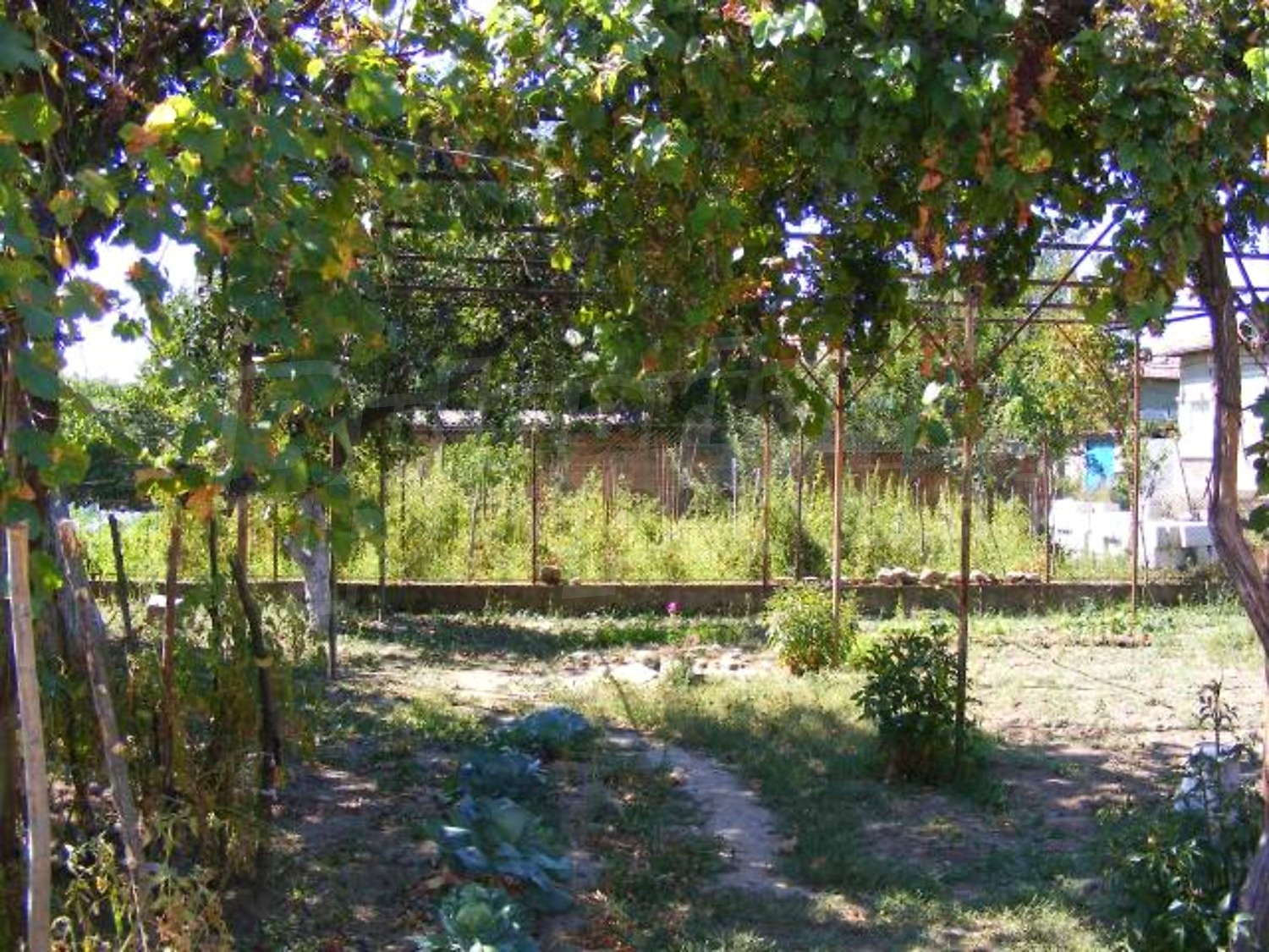Gallery Picture 22