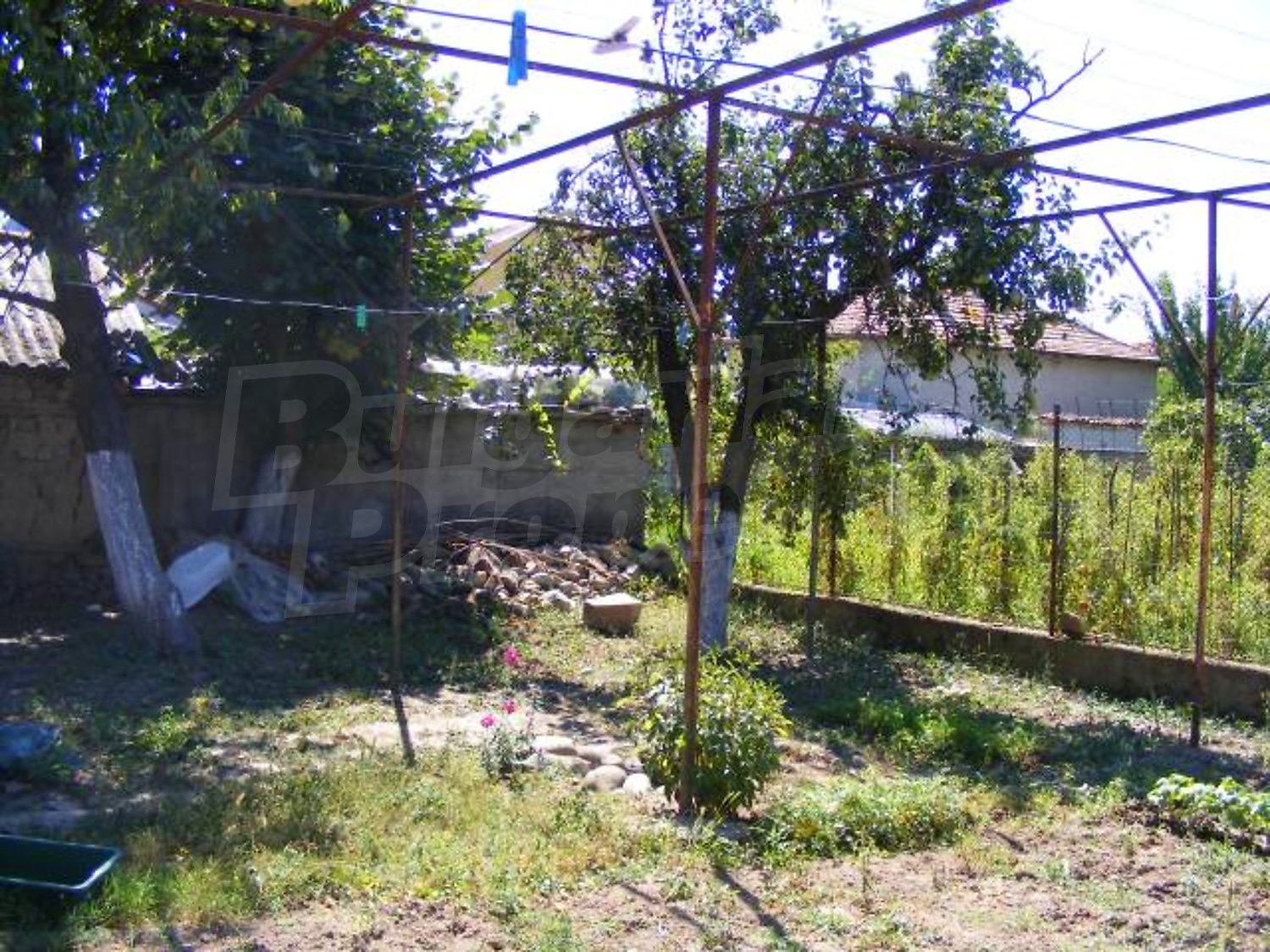 Gallery Picture 24