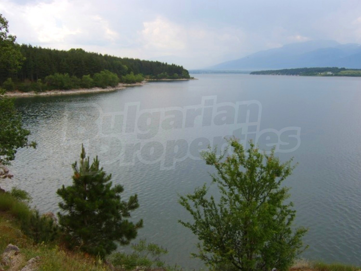 Gallery Picture 28