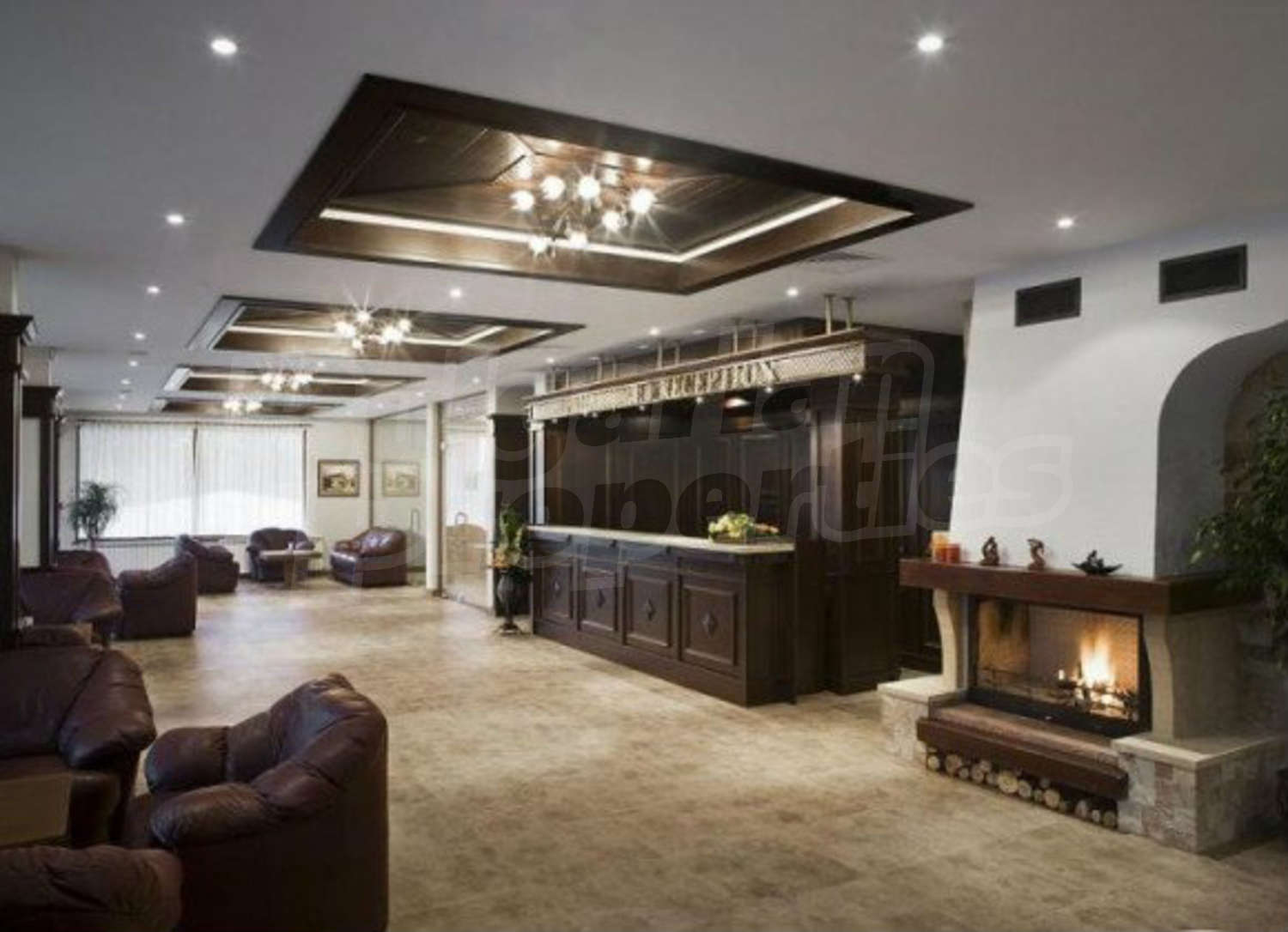 Gallery Picture 42
