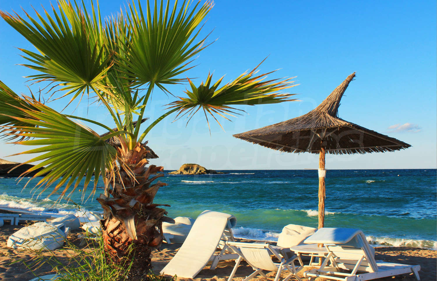 Gallery Picture 35