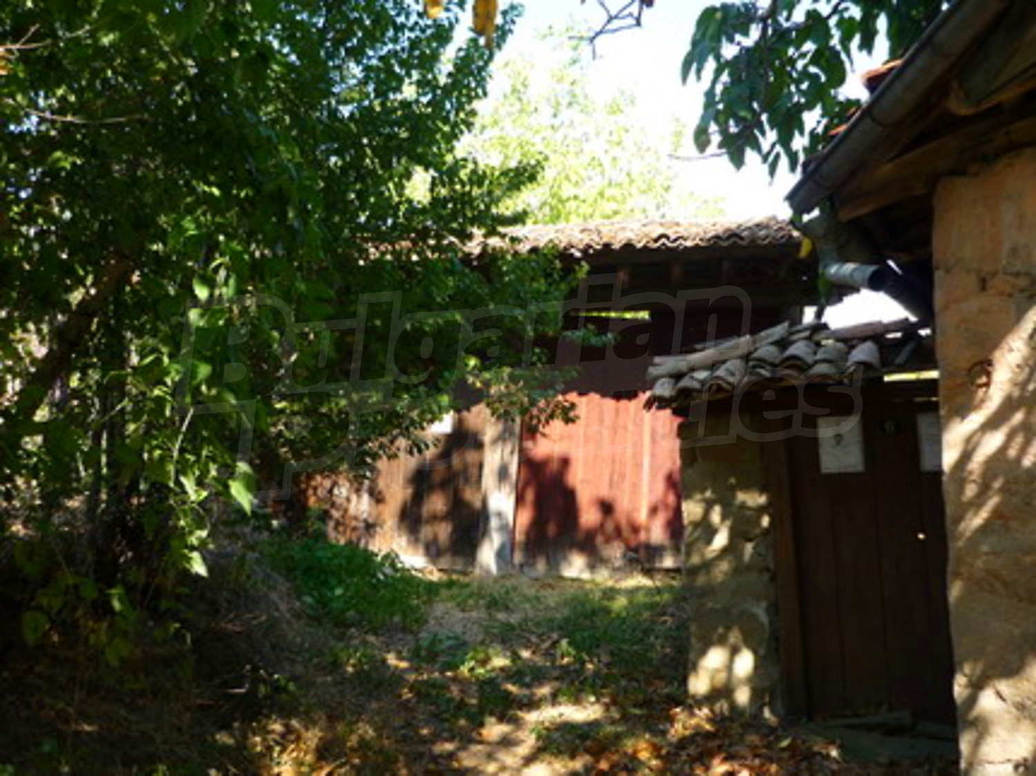 Gallery Picture 10