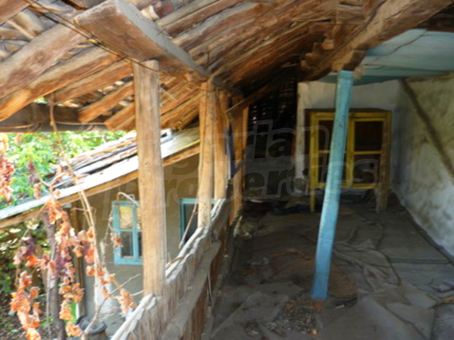 Gallery Picture 3