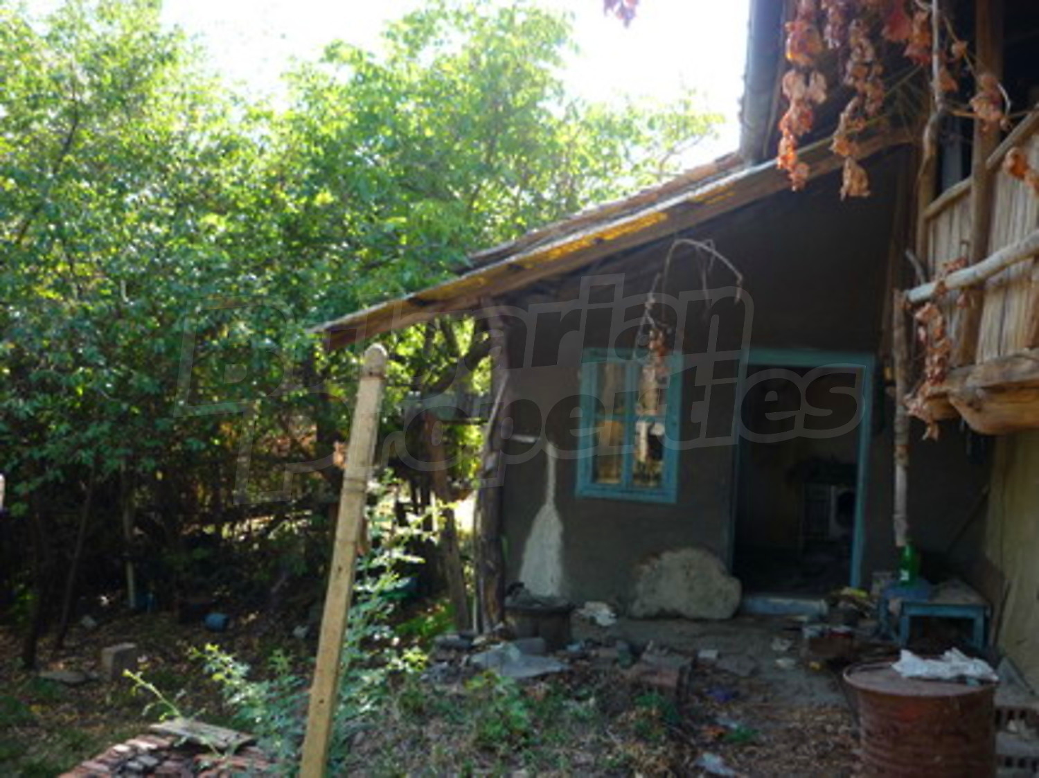 Gallery Picture 5