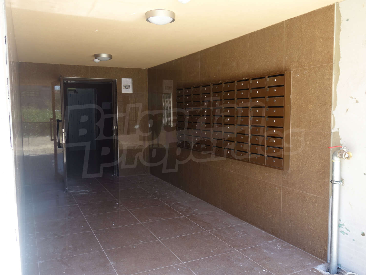 Gallery Picture 10