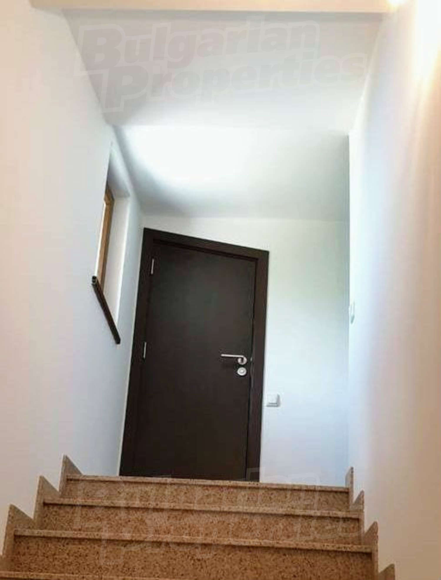 Gallery Picture 10