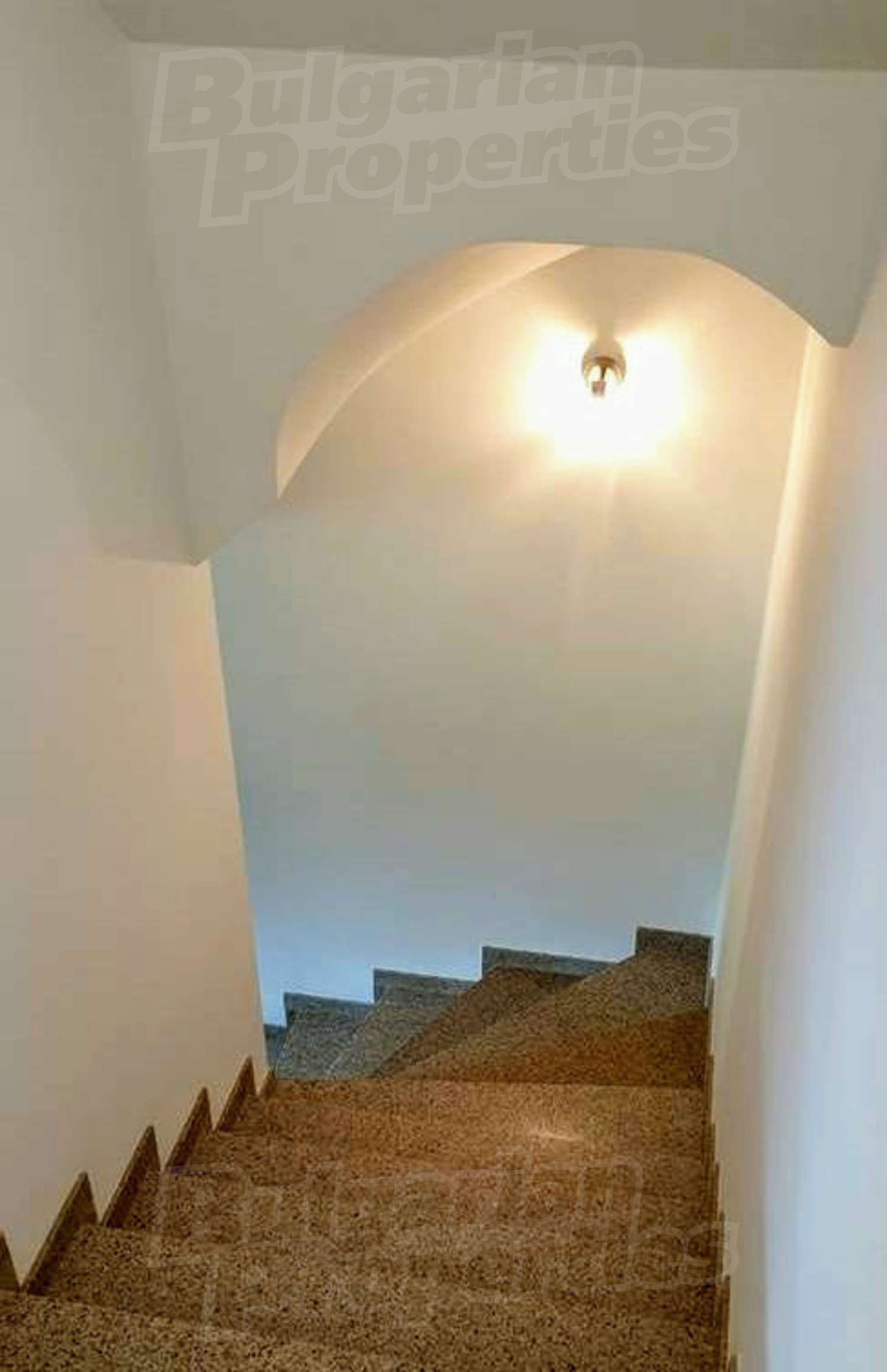 Gallery Picture 8
