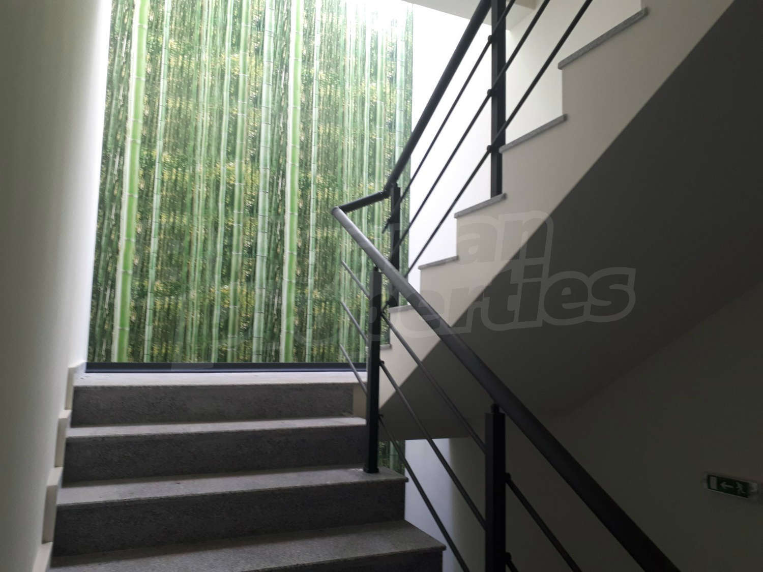 Gallery Picture 10